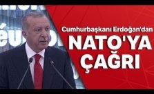 Cumhurbaşkanı Erdoğan & NATO & yahne &ağrı