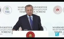 "Перевірте власний мозок", - говорить Ердоган Макрону