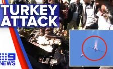 Напад Туреччини посилює напругу між Сирією | Nine News Australia